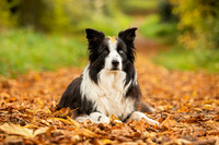 021A8434