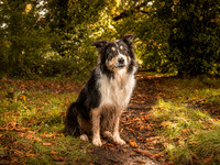 021A6379-Edit