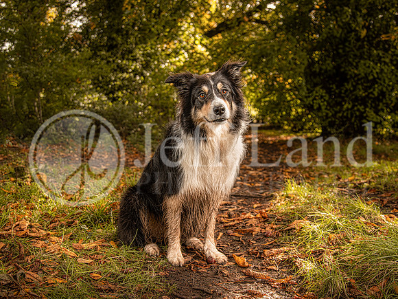 021A6379-Edit