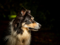 021A6297-Edit