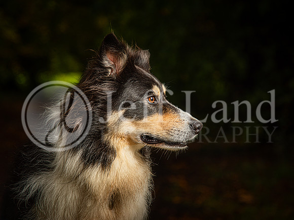021A6297-Edit