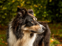 021A6347-Edit