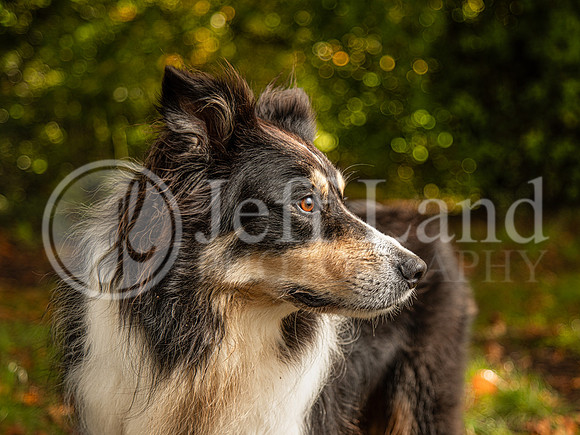 021A6347-Edit