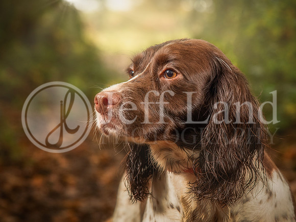 021A9655-Edit-Edit