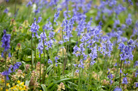 AA002