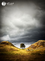 Sycamore Gap - Lake Disctrict