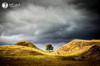 Sycamore Gap - Lake Disctrict