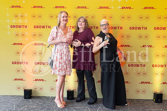 DHL013