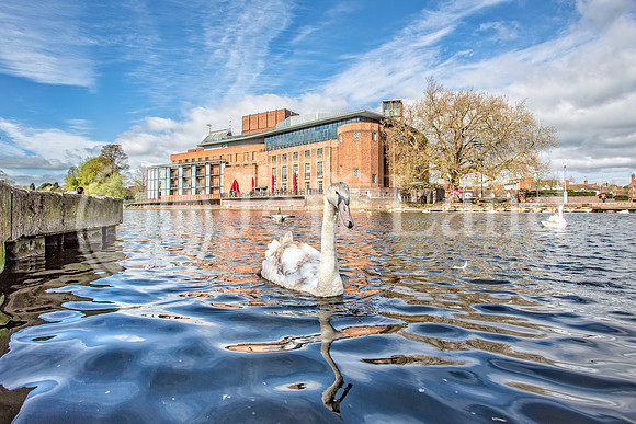 Royal Shakespeare Company - Stratford-upon-Avon