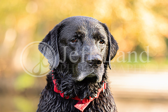 Bertie-5