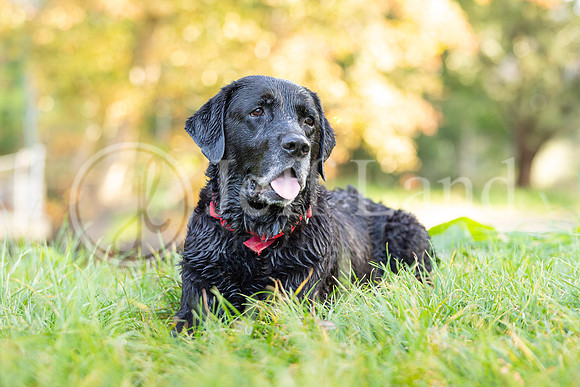 Bertie-12